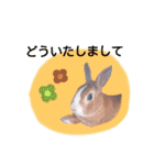 うさぎの若6（個別スタンプ：15）