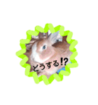 うさぎの若6（個別スタンプ：18）