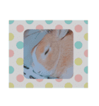 うさぎの若6（個別スタンプ：24）