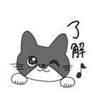 Cats  Room（個別スタンプ：2）