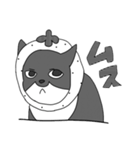 Cats  Room（個別スタンプ：6）