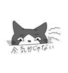 Cats  Room（個別スタンプ：9）