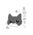 Cats  Room（個別スタンプ：11）