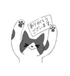 Cats  Room（個別スタンプ：13）