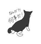 Cats  Room（個別スタンプ：15）