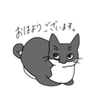 Cats  Room（個別スタンプ：19）