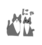 Cats  Room（個別スタンプ：21）