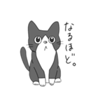 Cats  Room（個別スタンプ：23）
