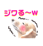 lovelyダックスフンド・アンの笑いシリーズ（個別スタンプ：5）
