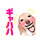 lovelyダックスフンド・アンの笑いシリーズ（個別スタンプ：14）