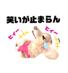 lovelyダックスフンド・アンの笑いシリーズ（個別スタンプ：16）