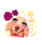 lovelyダックスフンド・アンの笑いシリーズ（個別スタンプ：17）