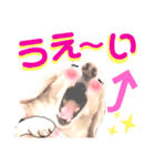 lovelyダックスフンド・アンの笑いシリーズ（個別スタンプ：18）