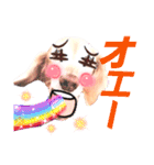 lovelyダックスフンド・アンの笑いシリーズ（個別スタンプ：21）