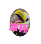 小野政也（個別スタンプ：9）
