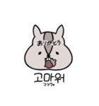韓国語あにまるず（個別スタンプ：4）