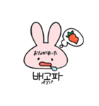 韓国語あにまるず（個別スタンプ：17）