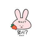 韓国語あにまるず（個別スタンプ：27）
