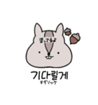 韓国語あにまるず（個別スタンプ：29）