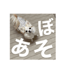 かわいいべび（個別スタンプ：3）