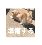 かわいいべび（個別スタンプ：5）