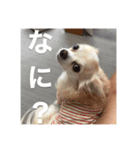 かわいいべび（個別スタンプ：6）