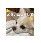 かわいいべび（個別スタンプ：7）