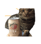hase__zoo2（個別スタンプ：8）