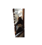 hase__zoo2（個別スタンプ：12）