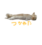 むーくん2（個別スタンプ：8）