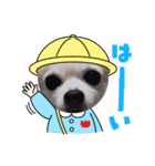 日常のショコラ2（個別スタンプ：4）