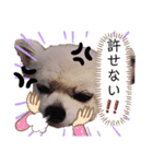 日常のショコラ2（個別スタンプ：6）