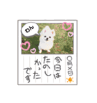日常のショコラ2（個別スタンプ：9）