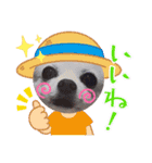 日常のショコラ2（個別スタンプ：10）