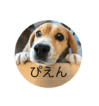 でんつの会（個別スタンプ：2）