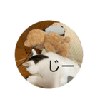 でんつの会（個別スタンプ：6）
