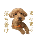 豆さんパート1（個別スタンプ：2）