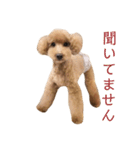 豆さんパート1（個別スタンプ：4）