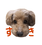 豆さんパート1（個別スタンプ：6）