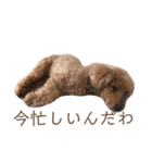 豆さんパート1（個別スタンプ：7）