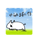 使いずらいネコちゃゃん（個別スタンプ：1）