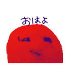 トイプーのたまごくん（個別スタンプ：2）