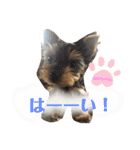 〜PARUM❤︎stamp〜（個別スタンプ：1）