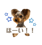 〜PARUM❤︎stamp〜（個別スタンプ：2）