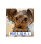 〜PARUM❤︎stamp〜（個別スタンプ：5）