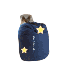 〜PARUM❤︎stamp〜（個別スタンプ：8）