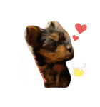 〜PARUM❤︎stamp〜（個別スタンプ：11）