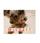 〜PARUM❤︎stamp〜（個別スタンプ：15）