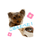 〜PARUM❤︎stamp〜（個別スタンプ：17）