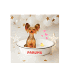 〜PARUM❤︎stamp〜（個別スタンプ：21）